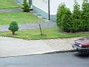 179_Hotel view and a rabbit.JPG